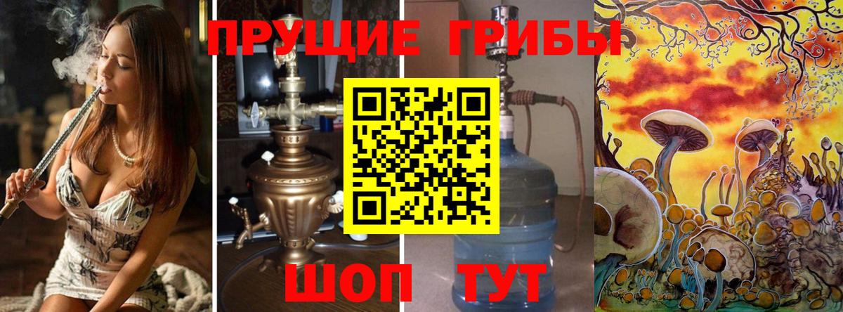 Галлюциногенные грибы Psilocybine cubensis Семёнов